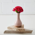 Load image into Gallery viewer, Ceramic Vase Pink COAST
