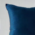 Load image into Gallery viewer, Velvet Feather Cushion Blue KAILE
