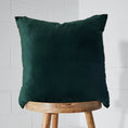 Load image into Gallery viewer, Velvet Feather Cushion Green KAILE
