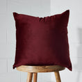 Load image into Gallery viewer, Velvet Feather Cushion Oxblood KAILE
