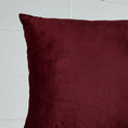 Load image into Gallery viewer, Velvet Feather Cushion Oxblood KAILE
