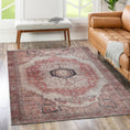 Load image into Gallery viewer, Hokitika Carmine Vintage Rust Washable Rug
