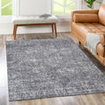 Load image into Gallery viewer, Rotorua Lauro Grey Contemporary Washable Rug
