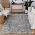 Load image into Gallery viewer, Rotorua Lauro Grey Contemporary Washable Rug
