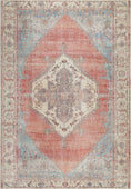 Load image into Gallery viewer, Nelson Belle Rust Blue Distressed Vintage Washable Rug
