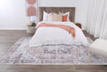 Load image into Gallery viewer, Matakana Cezanne Blush Distressed Vintage Washable Rug
