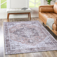 Load image into Gallery viewer, Matakana Cezanne Blush Distressed Vintage Washable Rug
