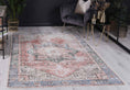 Load image into Gallery viewer, Matakana Cezanne Terracotta Blue Distressed Vintage Washable Rug
