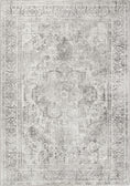 Load image into Gallery viewer, Hanmer Chilaz Grey Distressed Vintage Washable Rug
