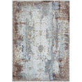 Load image into Gallery viewer, Aorere Enchant Terracotta Distressed Machine Washable Rug
