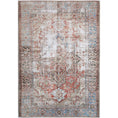 Load image into Gallery viewer, Aorere Enchant Terracotta Distressed Machine Washable Rug
