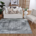 Load image into Gallery viewer, Omaru Isin Dark Grey Machine Washable Rug
