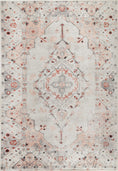 Load image into Gallery viewer, Te Anau Sauville Multi Distressed Vintage Washable Rug
